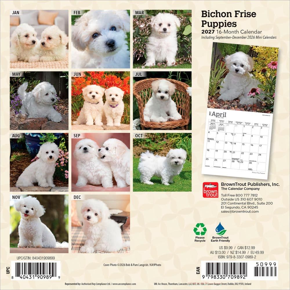Bichon Frise Puppies 2027 Mini Wall Calendar First Alternate Image