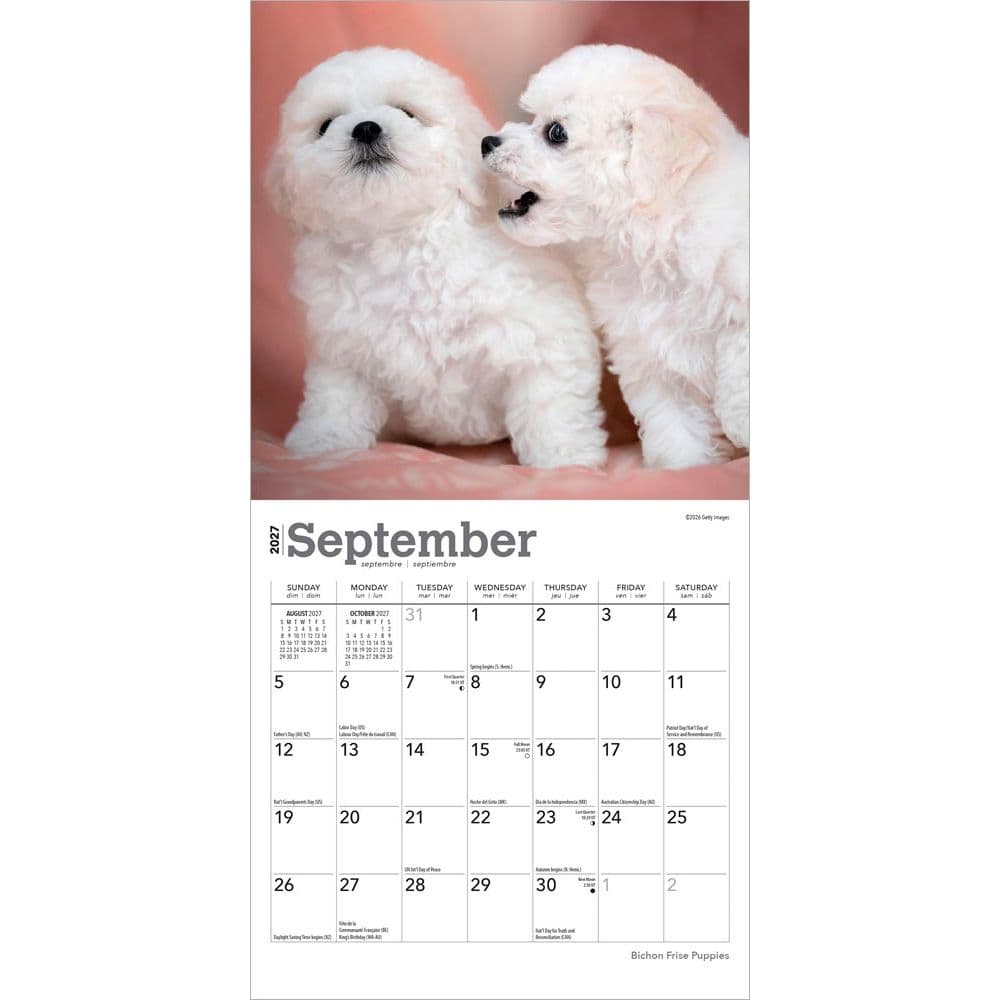 Bichon Frise Puppies 2027 Mini Wall Calendar Third Alternate Image