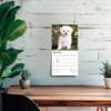 image Bichon Frise Puppies 2027 Mini Wall Calendar Fourth Alternate Image