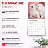 image Bichon Frise Puppies 2027 Mini Wall Calendar Fifth Alternate Image