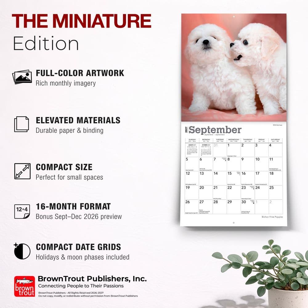 Bichon Frise Puppies 2027 Mini Wall Calendar Fifth Alternate Image