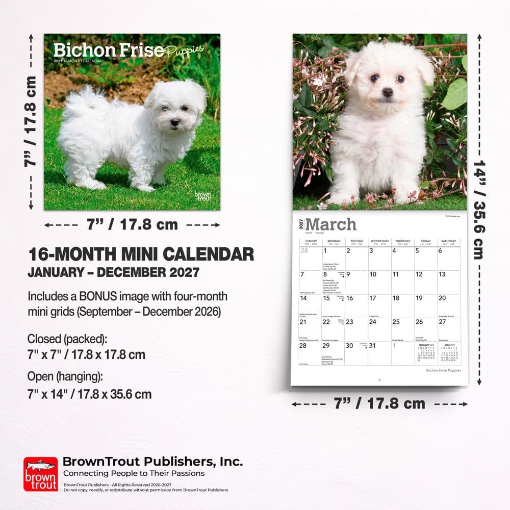 Bichon Frise Puppies 2027 Mini Wall Calendar Sixth Alternate Image