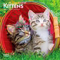 image Kittens Love of 2027 Mini Wall Calendar Main Product Image