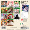 image Kittens Love of 2027 Mini Wall Calendar First Alternate Image