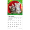 image Kittens Love of 2027 Mini Wall Calendar Third Alternate Image