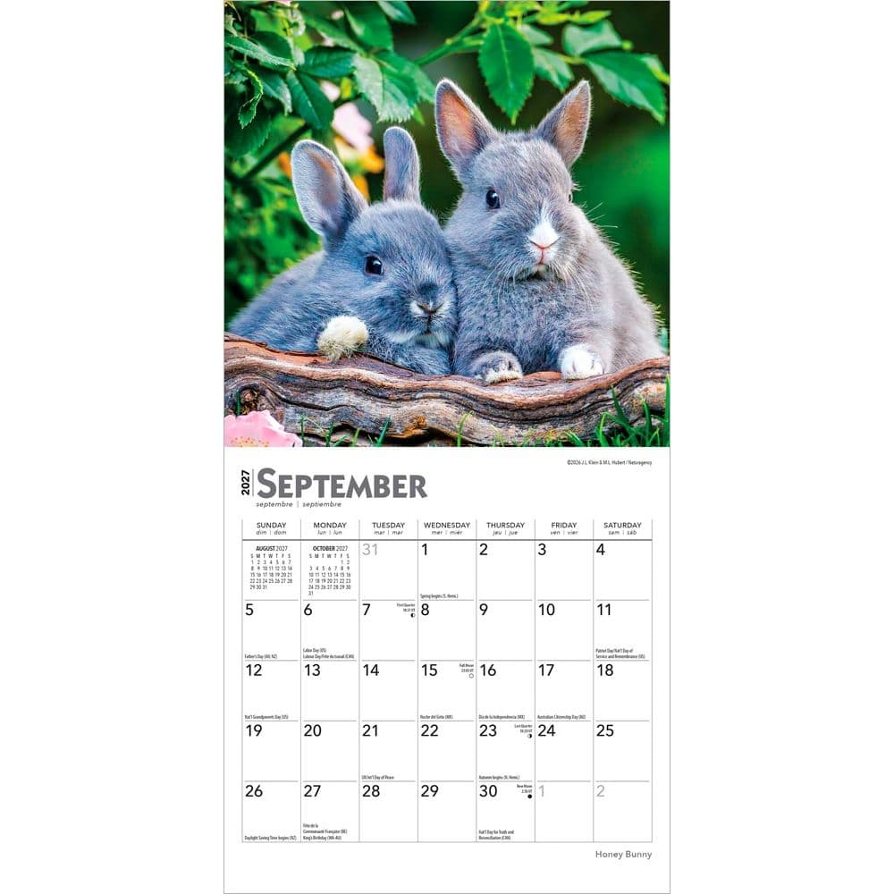 Honey Bunny 2027 Mini Wall Calendar Third Alternate Image