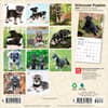 image Schnauzer Puppies 2027 Mini Wall Calendar First Alternate Image