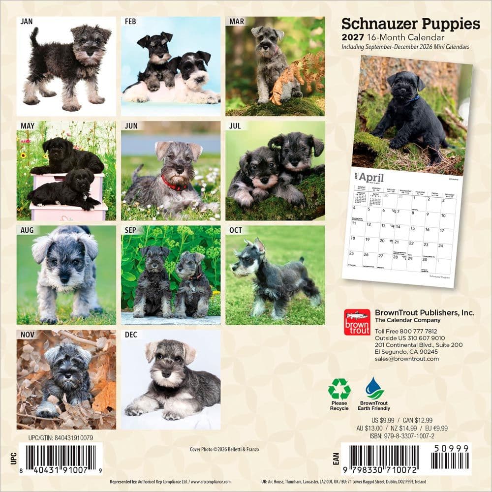Schnauzer Puppies 2027 Mini Wall Calendar First Alternate Image
