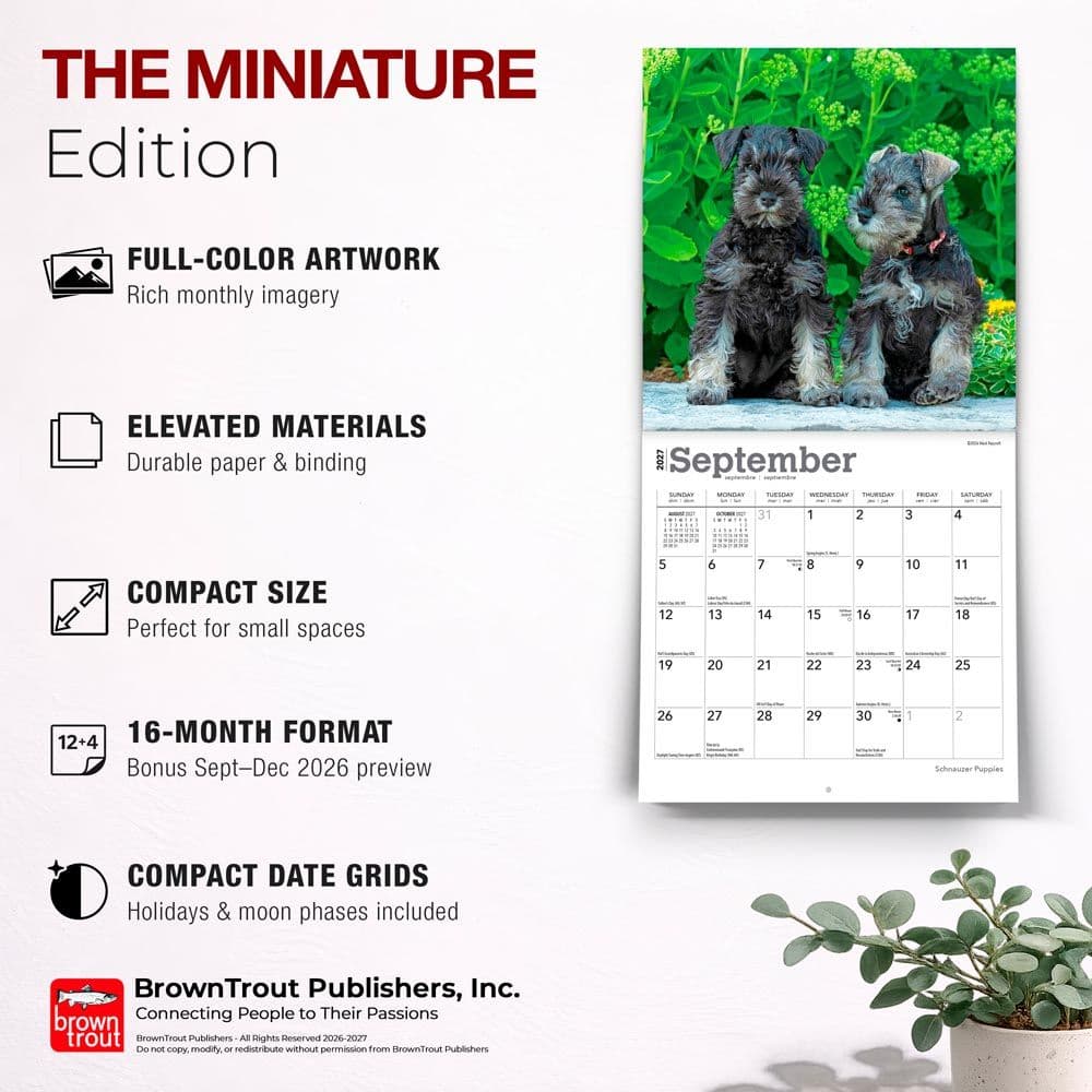 Schnauzer Puppies 2027 Mini Wall Calendar Fifth Alternate Image