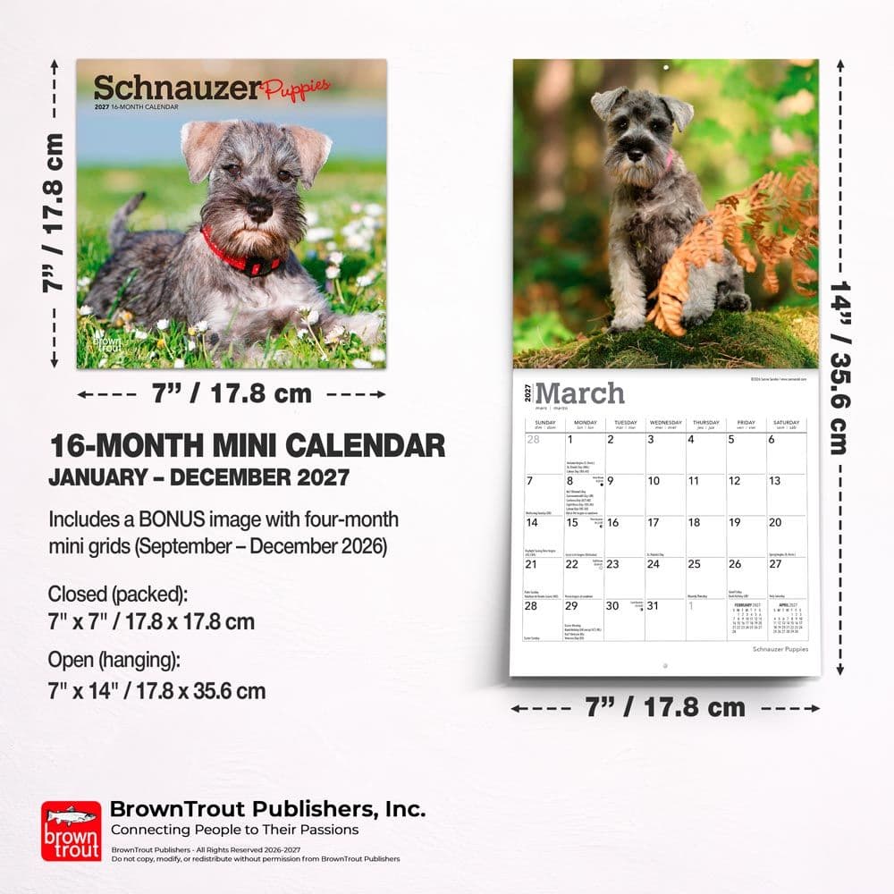 Schnauzer Puppies 2027 Mini Wall Calendar Sixth Alternate Image