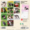 image Boston Terrier Puppies 2027 Mini Wall Calendar First Alternate Image