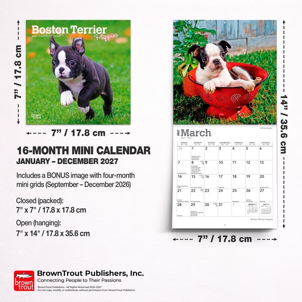Boston Terrier Puppies 2027 Mini Wall Calendar Sixth Alternate Image