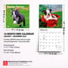 image Boston Terrier Puppies 2027 Mini Wall Calendar Sixth Alternate Image