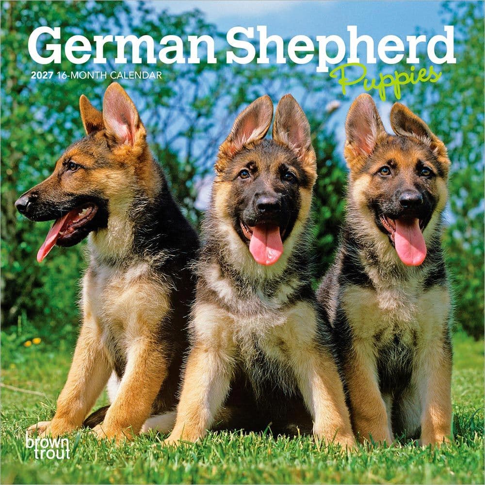 German Shepherd Puppies 2027 Mini Wall Calendar