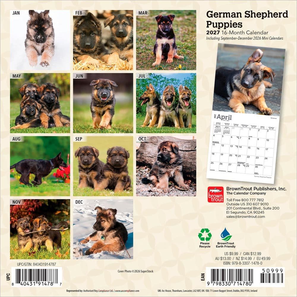 German Shepherd Puppies 2027 Mini Wall Calendar First Alternate Image