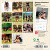 image German Shepherd Puppies 2027 Mini Wall Calendar First Alternate Image