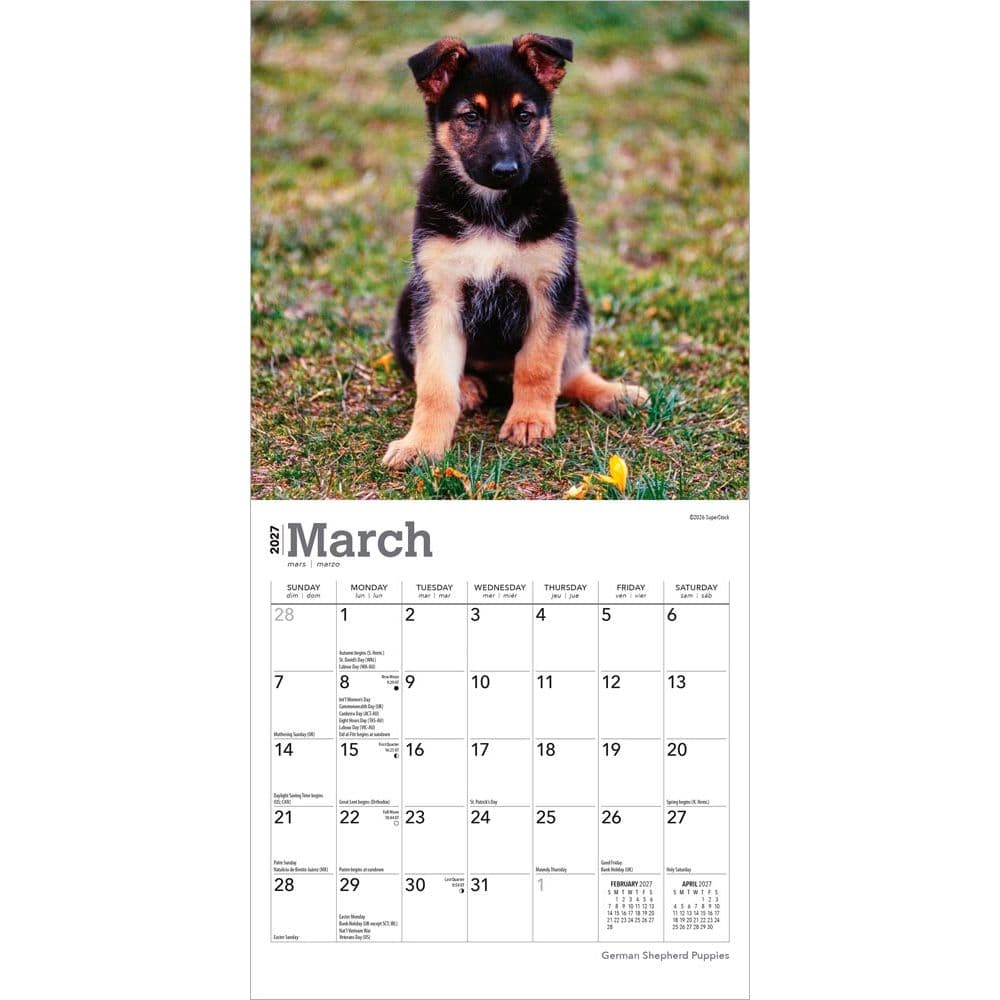 German Shepherd Puppies 2027 Mini Wall Calendar Second Alternate Image