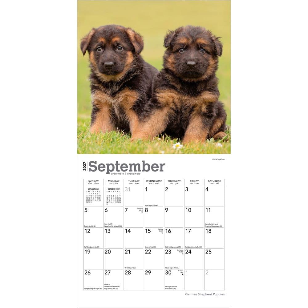 German Shepherd Puppies 2027 Mini Wall Calendar Third Alternate Image