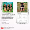 image German Shepherd Puppies 2027 Mini Wall Calendar Sixth Alternate Image