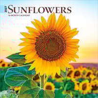 image Sunflowers  2027 Mini Wall Calendar Main Product Image