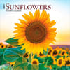 image Sunflowers  2027 Mini Wall Calendar Main Product Image