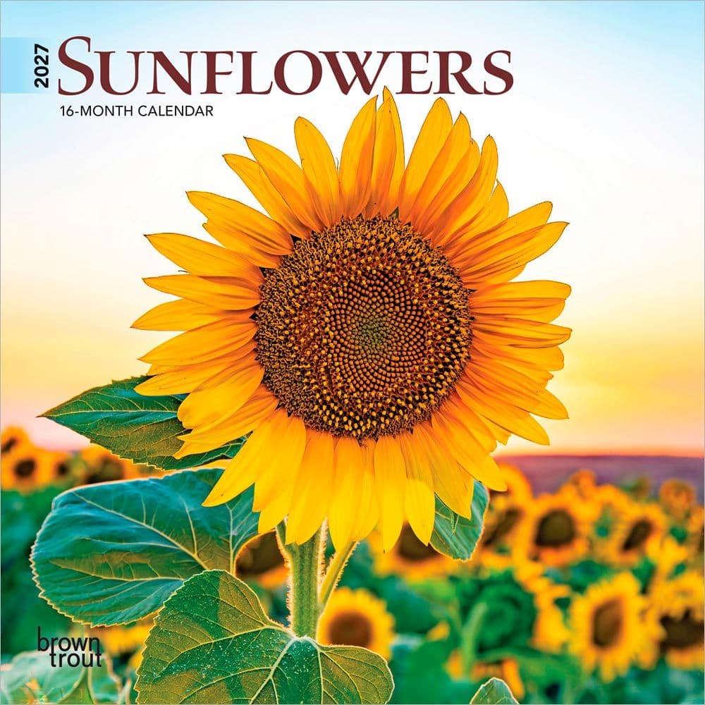 image Sunflowers  2027 Mini Wall Calendar Main Product Image