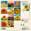 image Sunflowers  2027 Mini Wall Calendar First Alternate Image