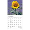 image Sunflowers  2027 Mini Wall Calendar Second Alternate Image