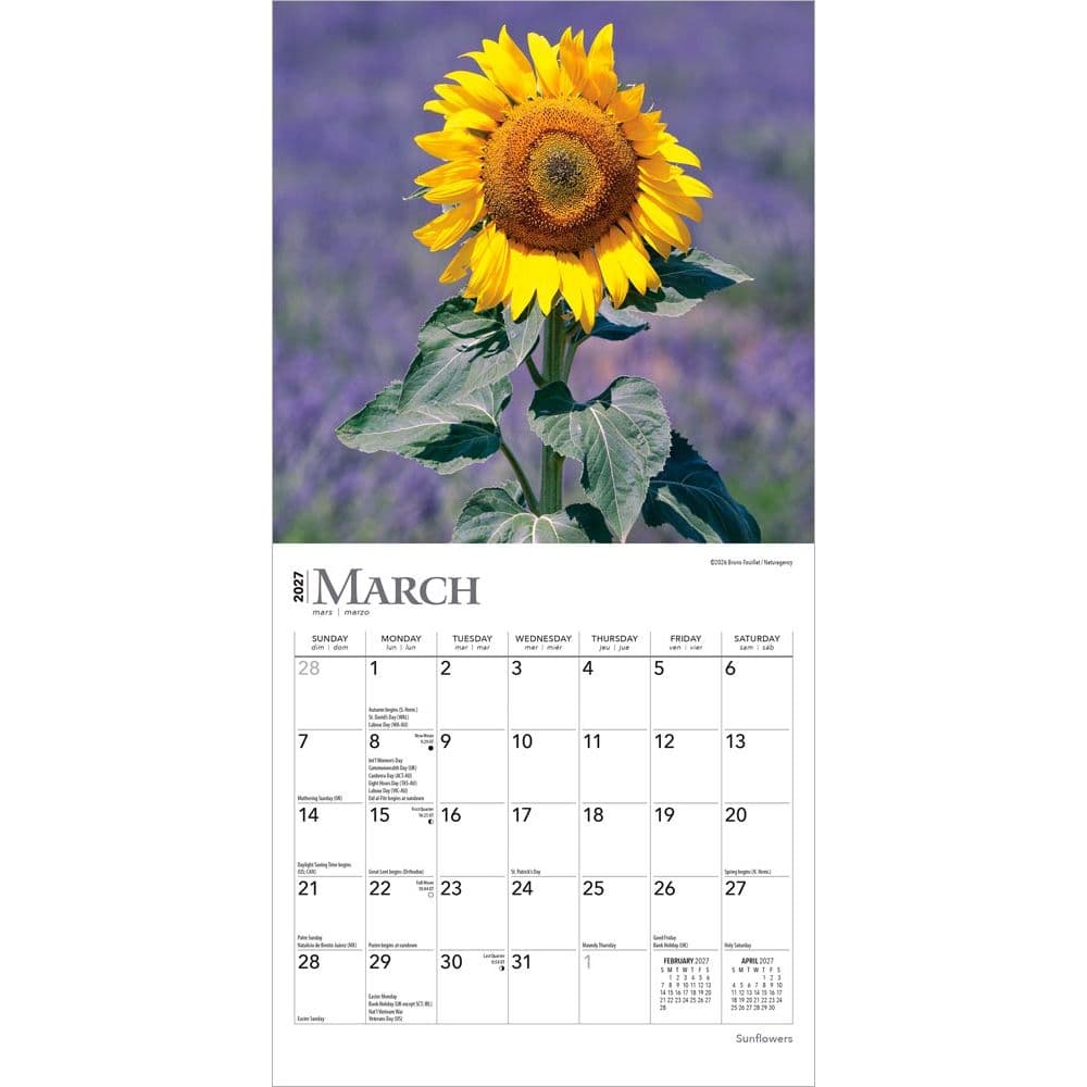 Sunflowers  2027 Mini Wall Calendar Second Alternate Image