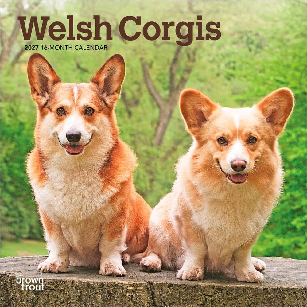 Welsh Corgi 2027 Mini Wall Calendar Main Product Image