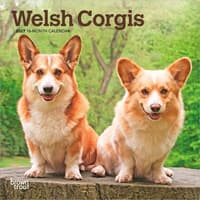 image Welsh Corgi 2027 Mini Wall Calendar Main Product Image