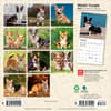 image Welsh Corgi 2027 Mini Wall Calendar First Alternate Image