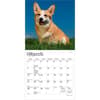 image Welsh Corgi 2027 Mini Wall Calendar Second Alternate Image