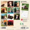 image Lab Retriever Puppies 2027 Mini Wall Calendar First Alternate Image