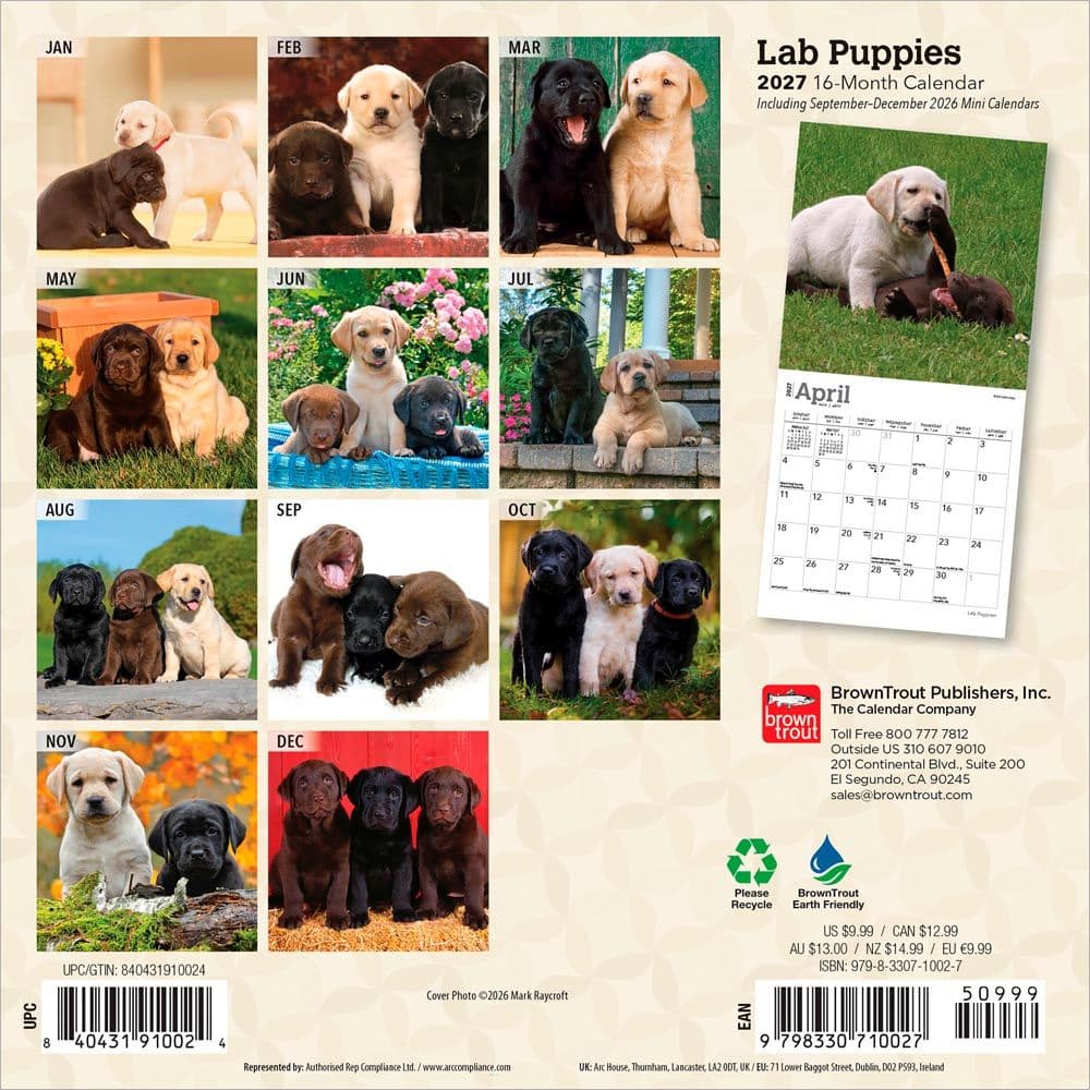 Lab Retriever Puppies 2027 Mini Wall Calendar First Alternate Image