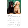 image Lab Retriever Puppies 2027 Mini Wall Calendar Second Alternate Image