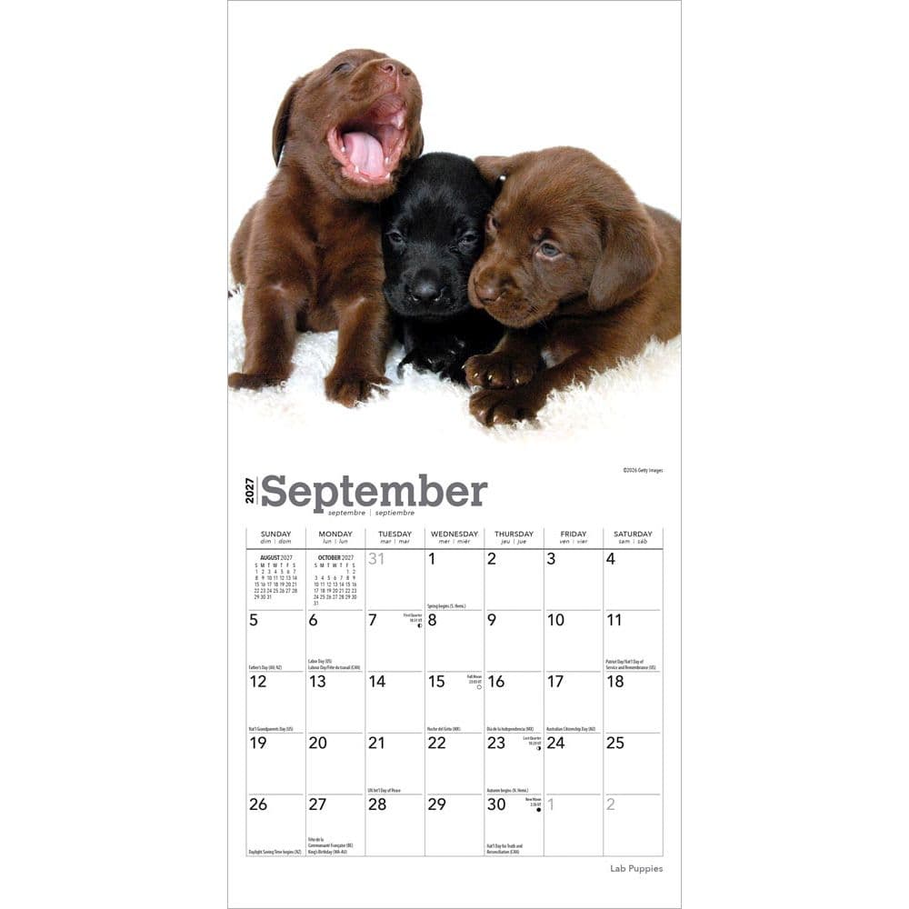 Lab Retriever Puppies 2027 Mini Wall Calendar Third Alternate Image