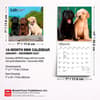 image Lab Retriever Puppies 2027 Mini Wall Calendar Sixth Alternate Image