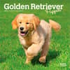 image Golden Retriever Puppies 2027 Mini Wall Calendar Main Product Image