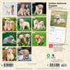 image Golden Retriever Puppies 2027 Mini Wall Calendar First Alternate Image
