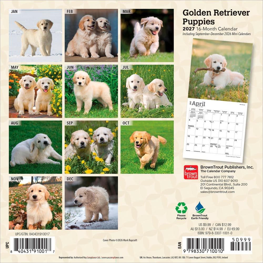 Golden Retriever Puppies 2027 Mini Wall Calendar First Alternate Image