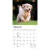 image Golden Retriever Puppies 2027 Mini Wall Calendar Second Alternate Image