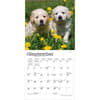 image Golden Retriever Puppies 2027 Mini Wall Calendar Third Alternate Image