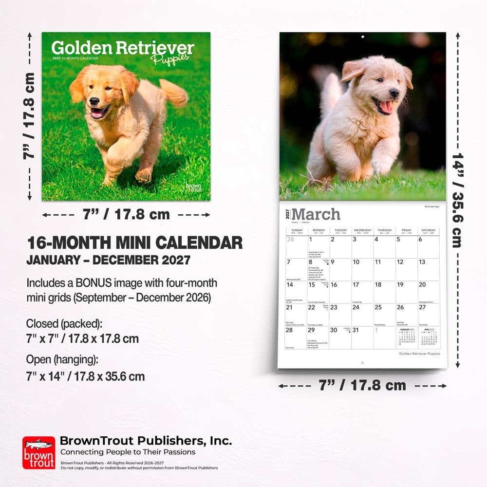 Golden Retriever Puppies 2027 Mini Wall Calendar Sixth Alternate Image