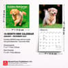 image Golden Retriever Puppies 2027 Mini Wall Calendar Sixth Alternate Image