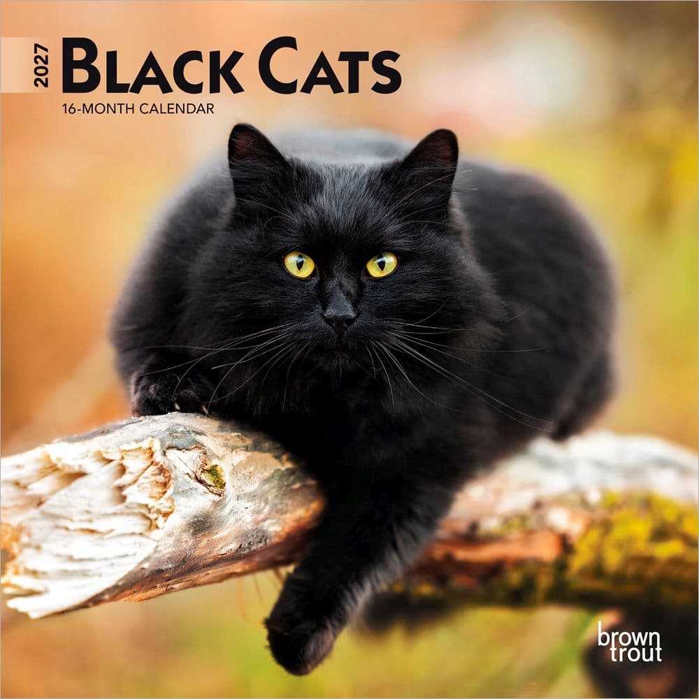 Black Cats 2027 Mini Wall Calendar Main Product Image
