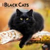 image Black Cats 2027 Mini Wall Calendar Main Product Image