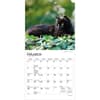 image Black Cats 2027 Mini Wall Calendar Second Alternate Image