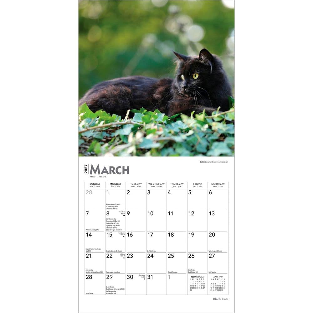 Black Cats 2027 Mini Wall Calendar Second Alternate Image