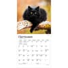 image Black Cats 2027 Mini Wall Calendar Third Alternate Image